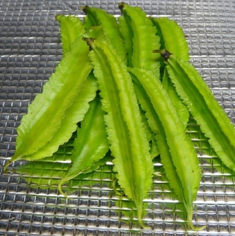 sikakumame.jpg