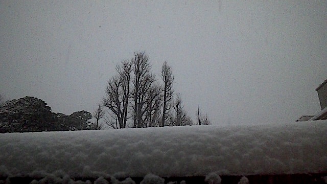 140208_164451.jpg