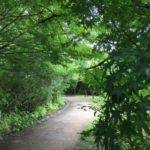rblog-20160605132144-04.jpg