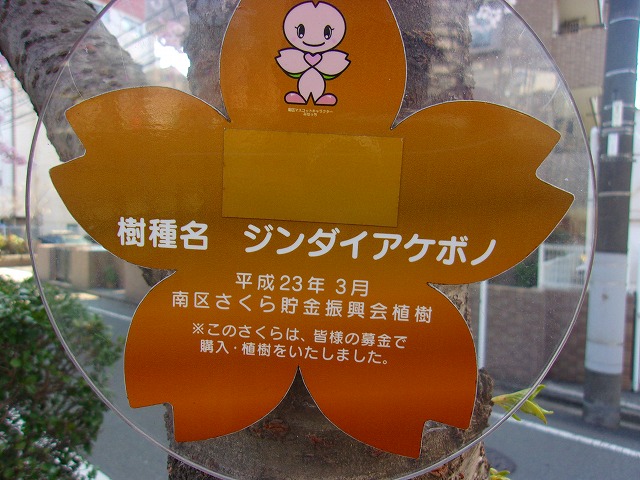 ジンダイアケボノ木名.jpg