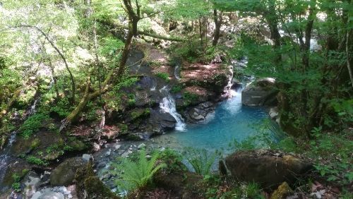 rblog-20180509052956-04.jpg