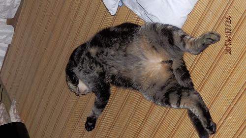 P7240341.JPG