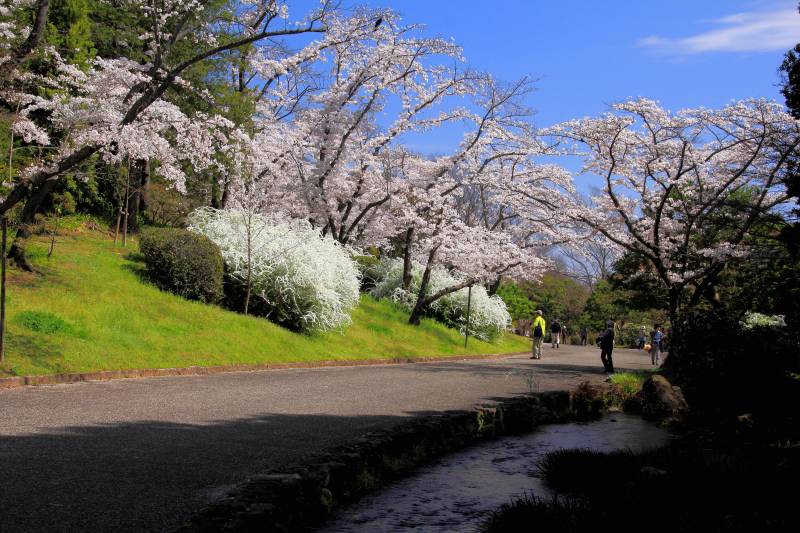 万博記念公園_008.jpg