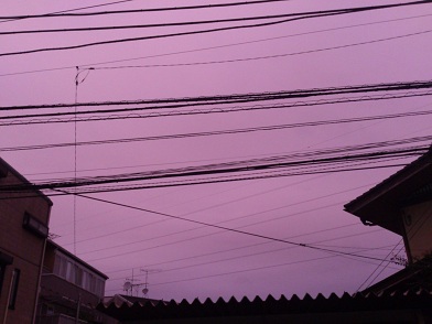 DSC_1064.jpg