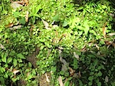 IMG_1407.JPG