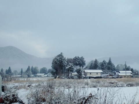雪と朝