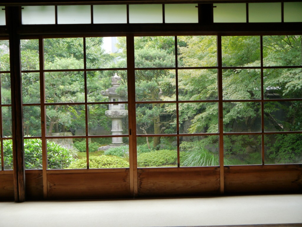 P1090023.JPG