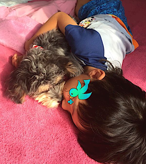 rblog-20160928122144-02.jpg