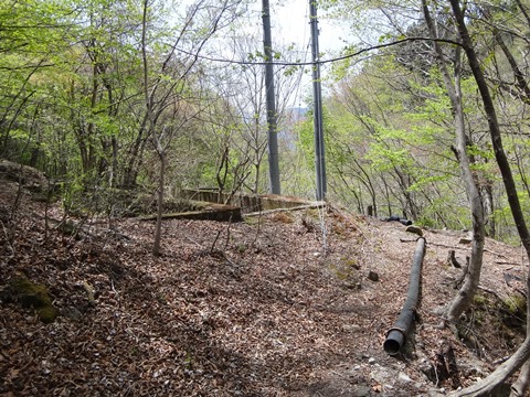 DSC05323.JPG