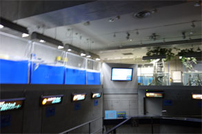 九州737.jpg
