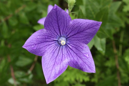 2015070502.JPG