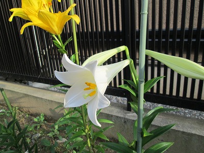 IMG_1536.jpg