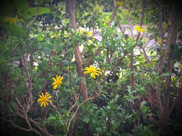 rblog-20160427183111-02.jpg
