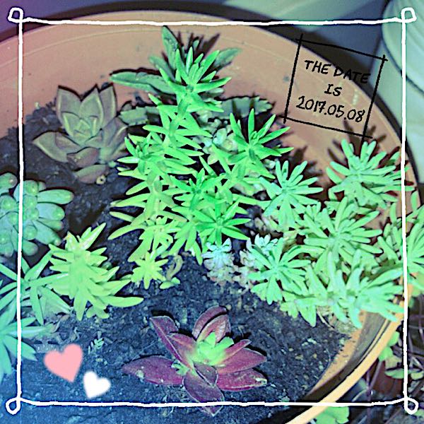 rblog-20170510235621-00.jpg