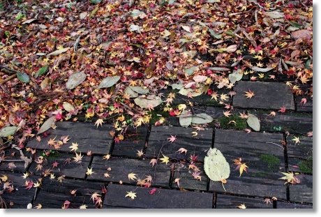 もく遊りん-10 ウッドデッキ-3 13.11.27