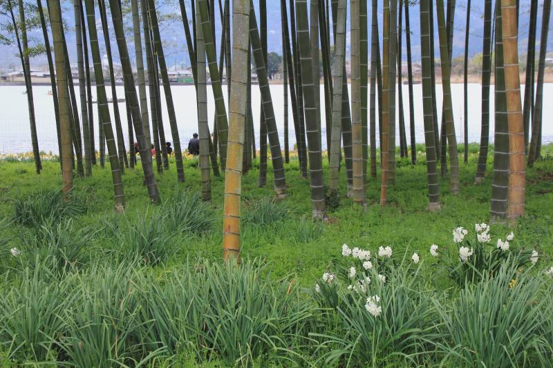 広沢の池_003.jpg