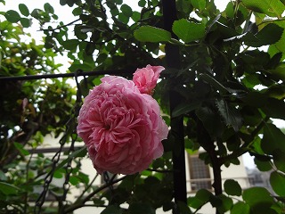 DSC03871.jpg