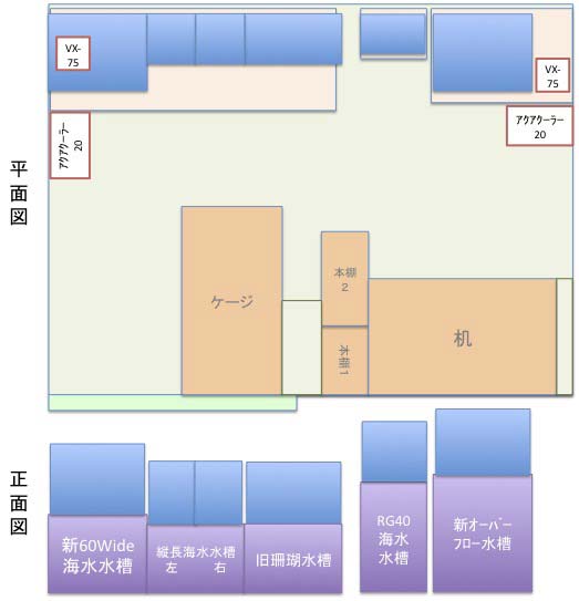 新レイアウト図