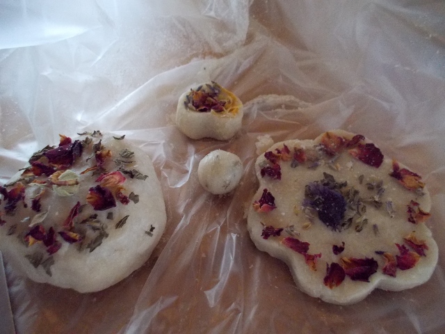 DSCN1251 (640x480).jpg