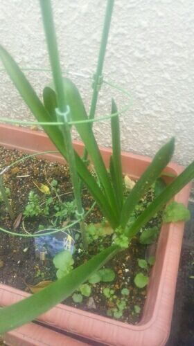 rblog-20170305104221-02.jpg