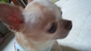 130821_1602~010001.jpg