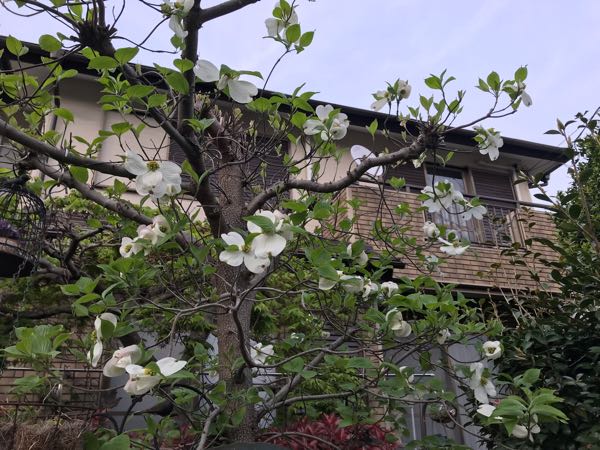 rblog-20190423182339-03.jpg