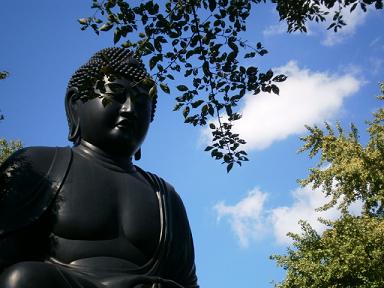 daibutu