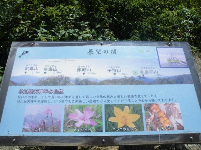 群馬旅行など (11).JPG