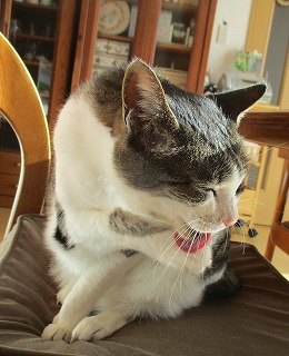 IMG_6143ss.jpg