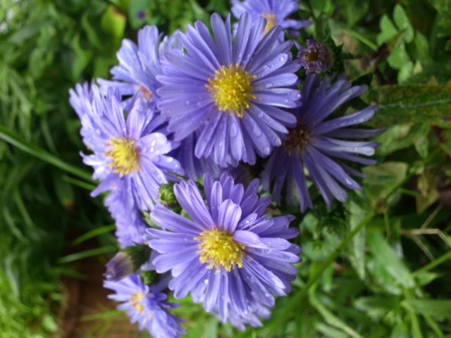 KIMG0043 (640x480).jpg