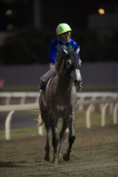 レース後