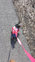 rblog-20130422132019-00.png