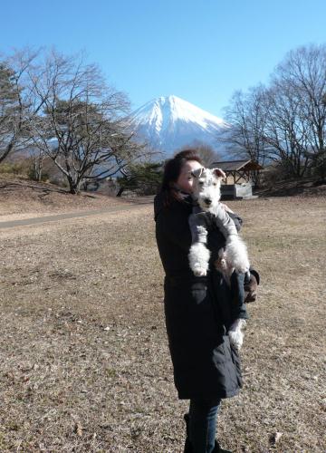 富士さんとセバスチャン
