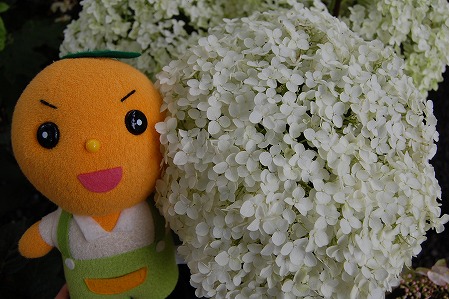 s-DSC_0389.jpg