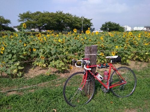 rblog-20180805131250-01.jpg