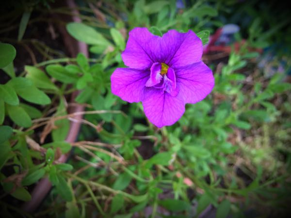 rblog-20150728202710-04.jpg