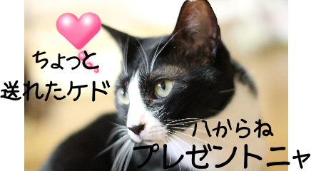 IMG_0442.png