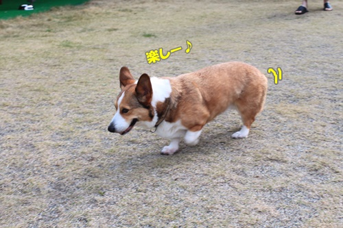 IMG010921.JPG