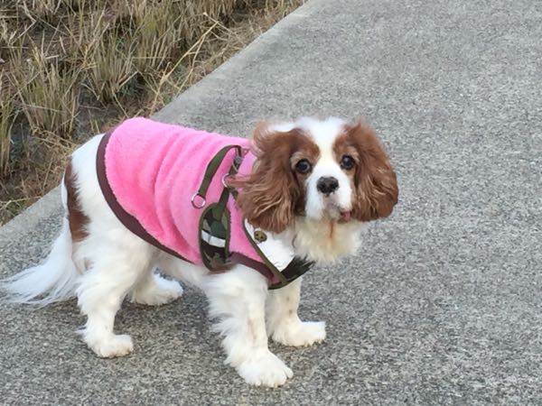 rblog-20160102213409-01.jpg