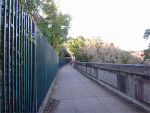 OZ1237.jpg