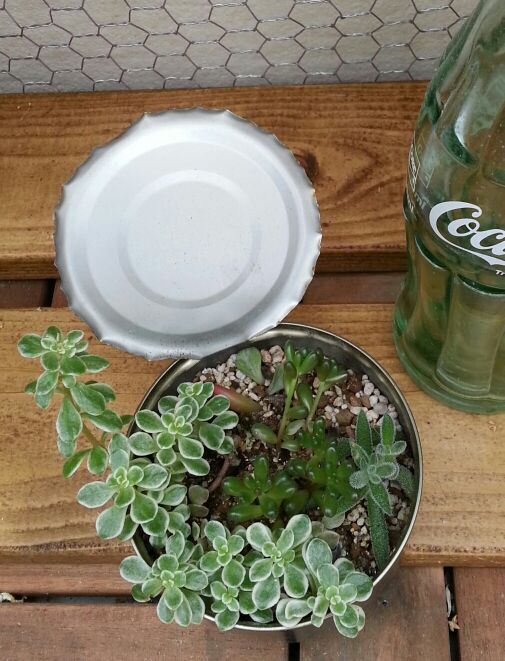 rblog-20140618155001-01.jpg