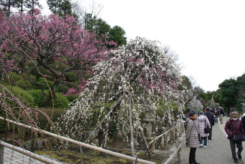 池上梅園