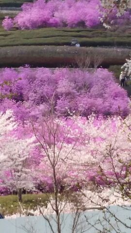 rblog-20140409143238-01.jpg