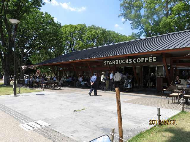 広場 130531　ｽﾀﾊﾞ1b.jpg
