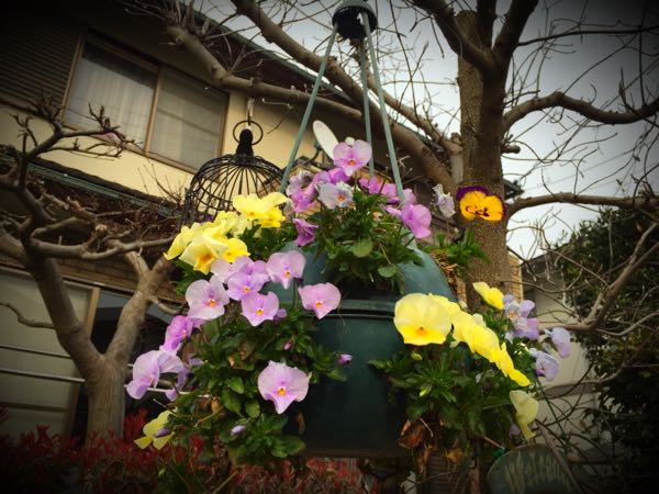 rblog-20160330183729-07.jpg