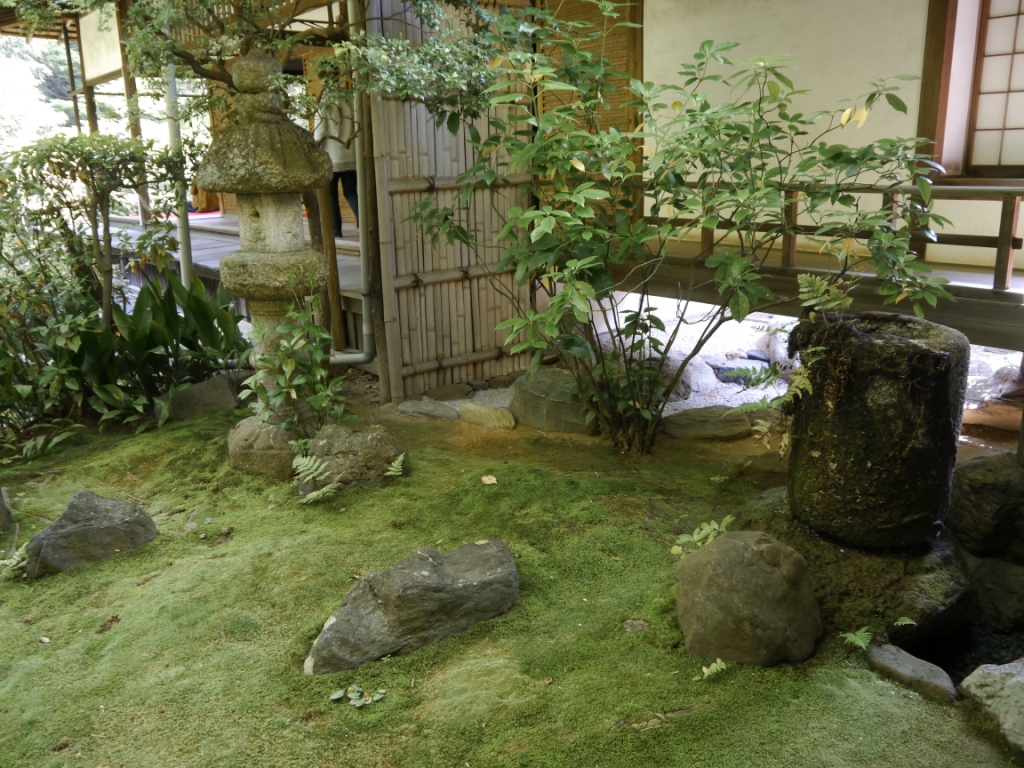 P1070663.JPG