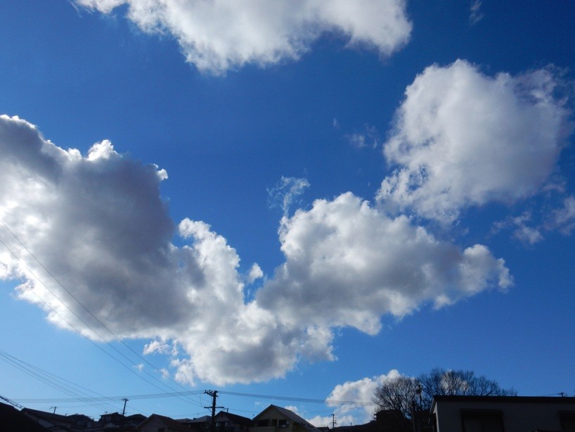 空6.JPG