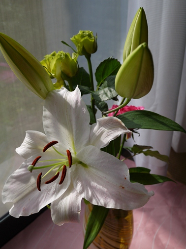 P1000148.jpg