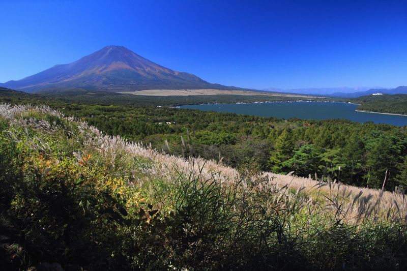 山中湖と富士山_003.jpg