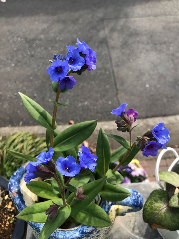 rblog-20180326193240-05.jpg